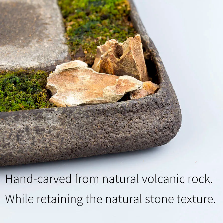 Bonsai Plate Landscape Tea Tray Natural Stone Plant Pot Table Garden Volcanics Home Decoration Craft Office Teaware Originality