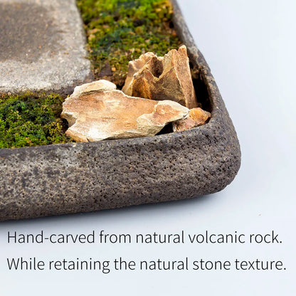 Bonsai Plate Landscape Tea Tray Natural Stone Plant Pot Table Garden Volcanics Home Decoration Craft Office Teaware Originality