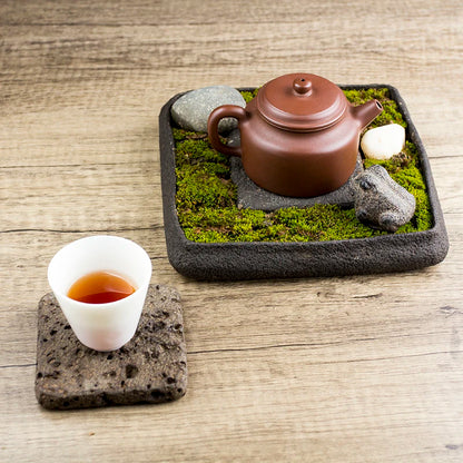 Bonsai Plate Landscape Tea Tray Natural Stone Plant Pot Table Garden Volcanics Home Decoration Craft Office Teaware Originality