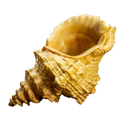 Boxwood 5cm Wood Sculpture conch Home Decor Feng Shui Office Decoration Real Wood Car Hanging Collection
