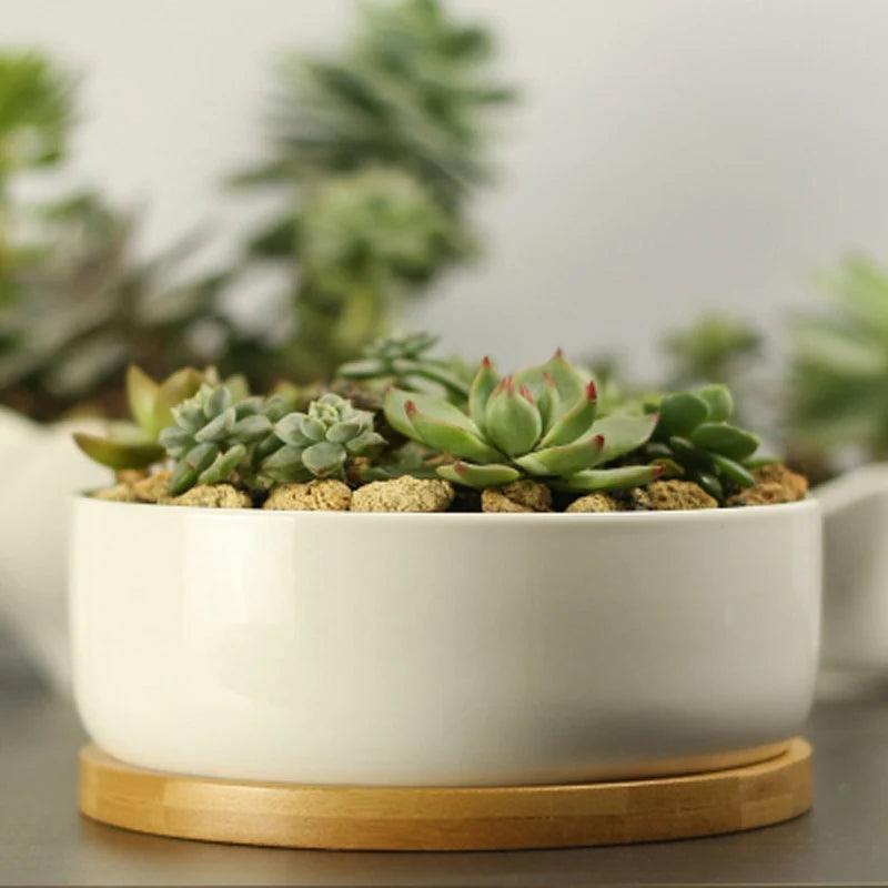 Ceramic Succulent Plant Pot, White Porcelain, Deep Rounded Flower Pot with Bamboo Tray, Office Desktop Table Bonsai Zakka