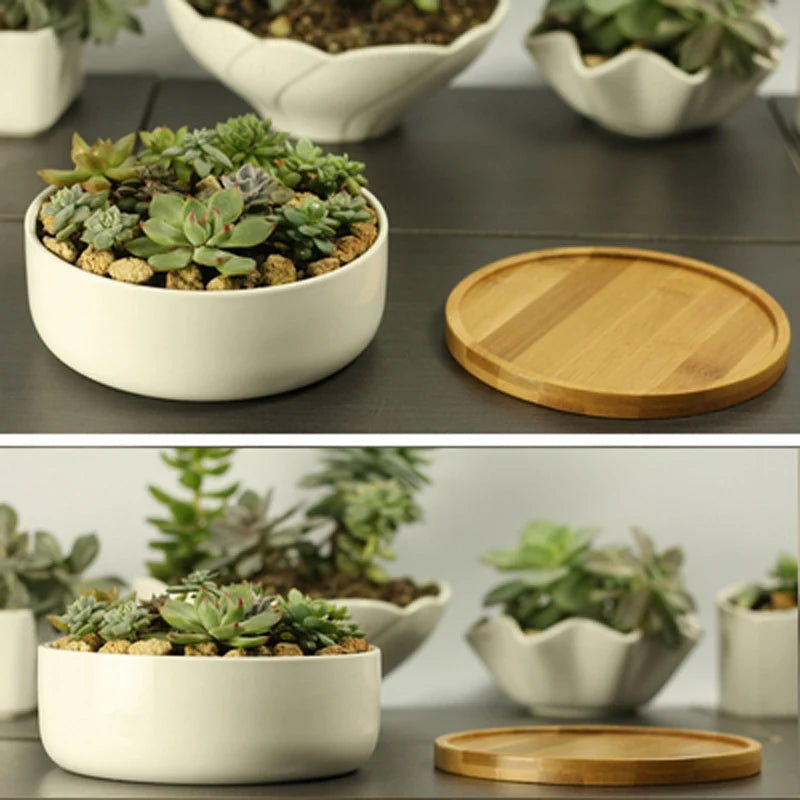 Ceramic Succulent Plant Pot, White Porcelain, Deep Rounded Flower Pot with Bamboo Tray, Office Desktop Table Bonsai Zakka
