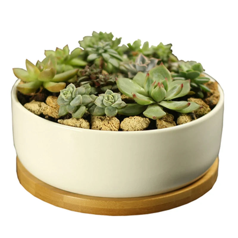 Ceramic Succulent Plant Pot, White Porcelain, Deep Rounded Flower Pot with Bamboo Tray, Office Desktop Table Bonsai Zakka