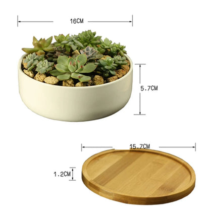 Ceramic Succulent Plant Pot, White Porcelain, Deep Rounded Flower Pot with Bamboo Tray, Office Desktop Table Bonsai Zakka