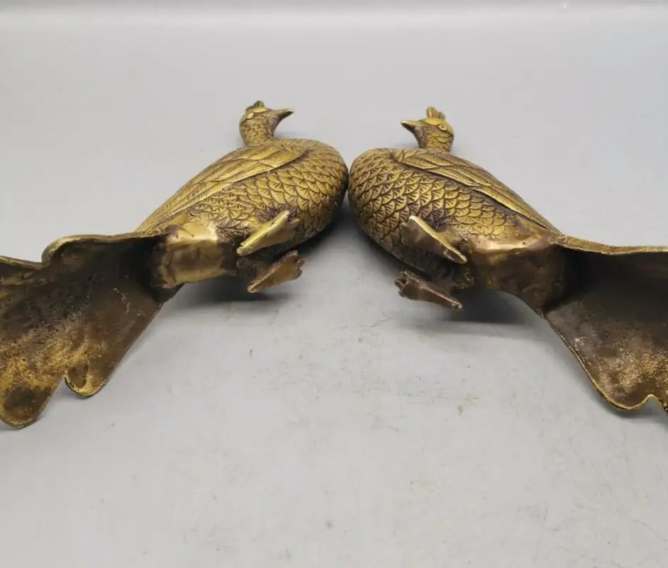 China brass peacock crafts statue A pair