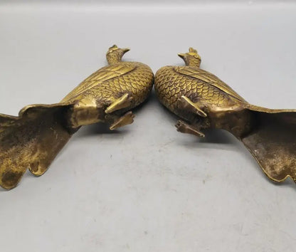 China brass peacock crafts statue A pair