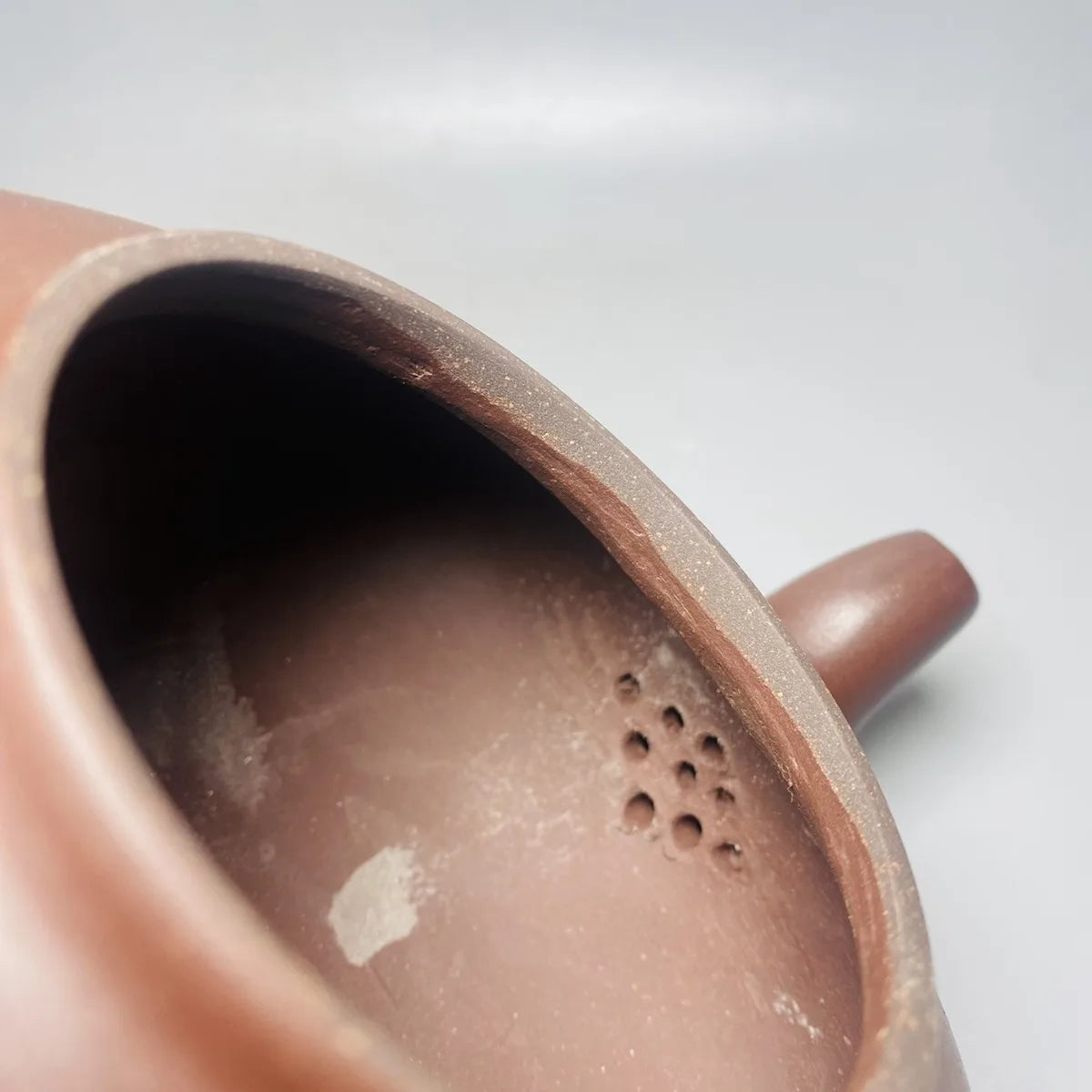 Chinese Yixing Zisha Clay Teapot  Lingzhi Mud Painting Pot Wang Yinxian 380ml