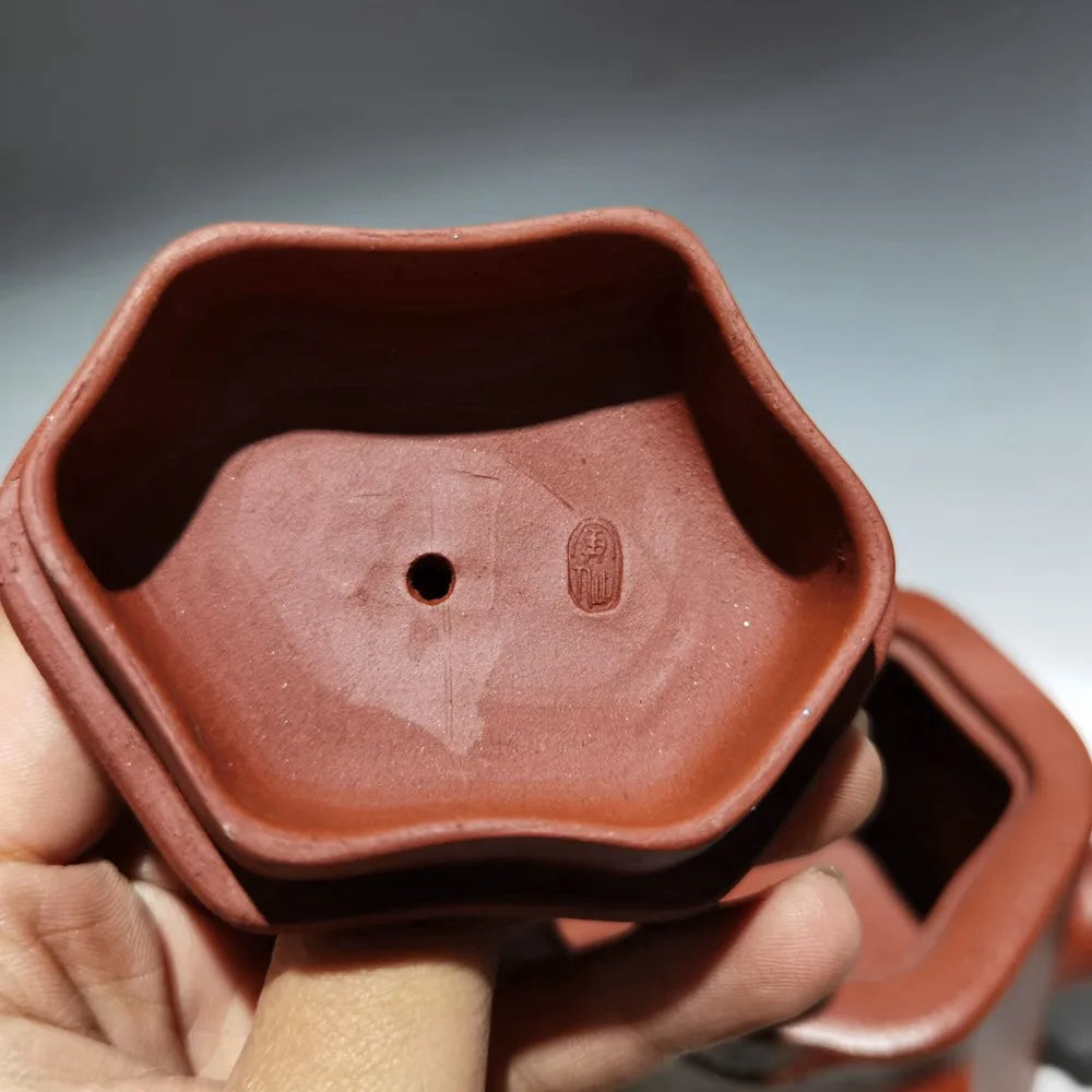 Chinese Yixing Zisha Clay Teapot  Plum Blossom Tree Stake Pot Wang Yinxian 300ml