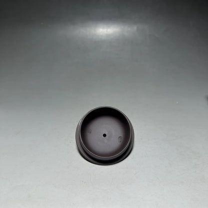Chinese Yixing Zisha Clay Teapot  Spring Pot Jiang Rong 300ml