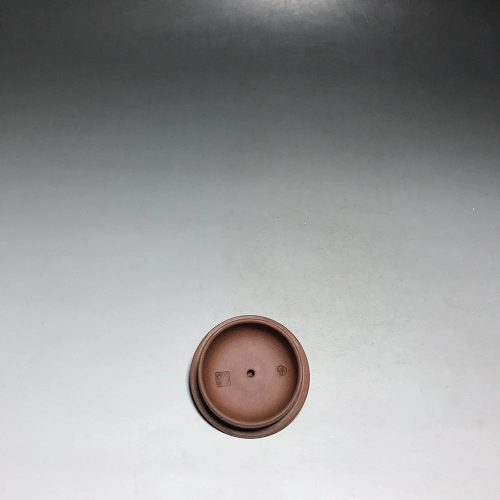 Chinese Yixing Zisha Clay Teapot  single circle Pot 300ml