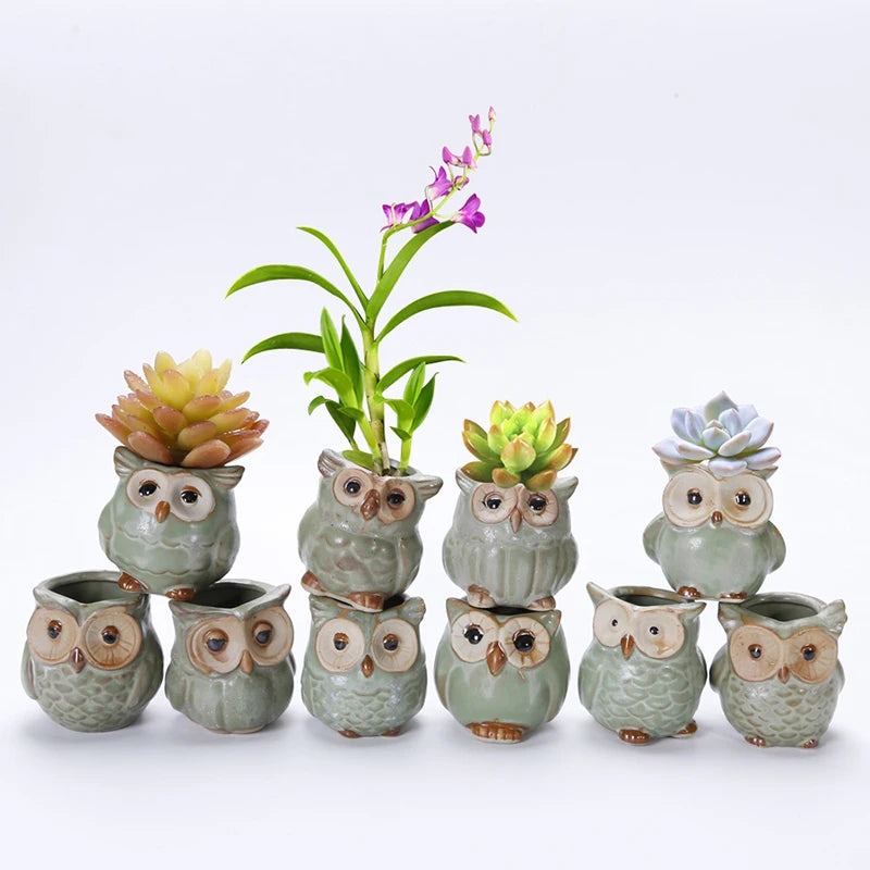 Creative 5 Pcs/Set Ceramic Owl Shape Flower Pots New Ceramic Planter Desk Flower Pot Cute Design Succulent Planter Pot