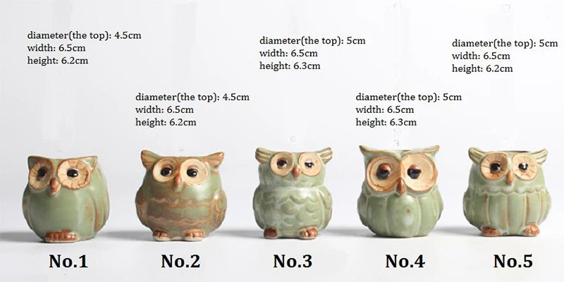 Creative 5 Pcs/Set Ceramic Owl Shape Flower Pots New Ceramic Planter Desk Flower Pot Cute Design Succulent Planter Pot
