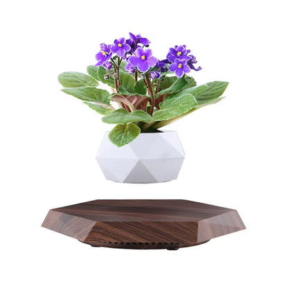 Creative geometric flower pot ornaments Micro landscape planter Eco Resin Magnetic Levitation Planter
