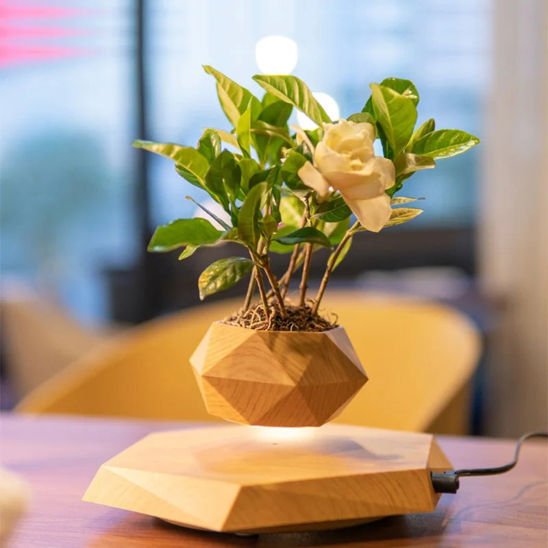 Creative geometric flower pot ornaments Micro landscape planter Eco Resin Magnetic Levitation Planter