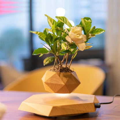 Creative geometric flower pot ornaments Micro landscape planter Eco Resin Magnetic Levitation Planter