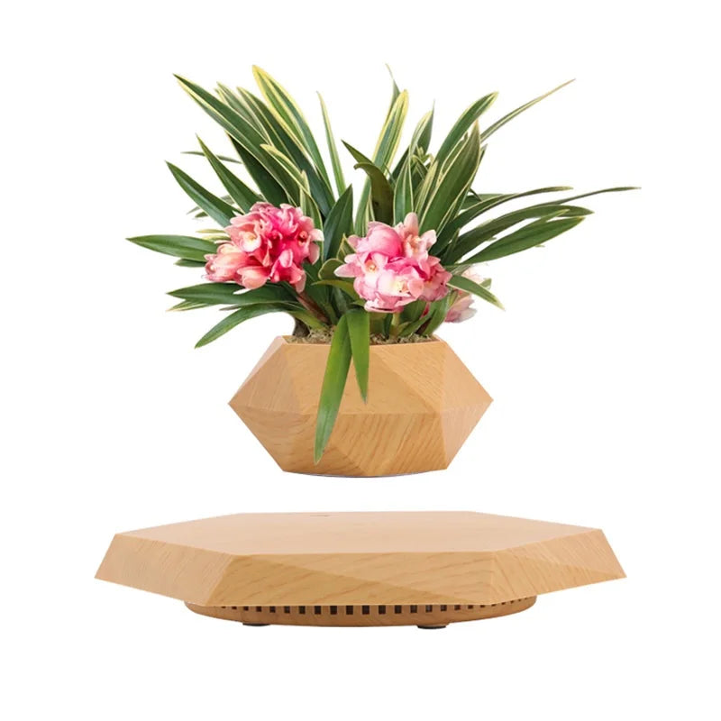 Creative geometric flower pot ornaments Micro landscape planter Eco Resin Magnetic Levitation Planter
