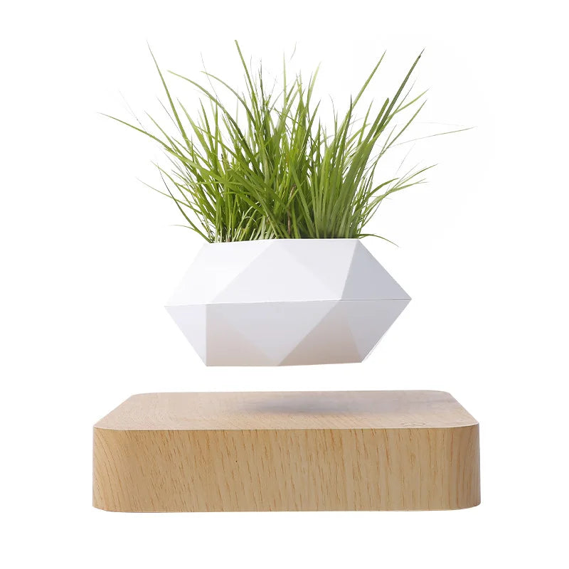 Creative geometric flower pot ornaments Micro landscape planter Eco Resin Magnetic Levitation Planter