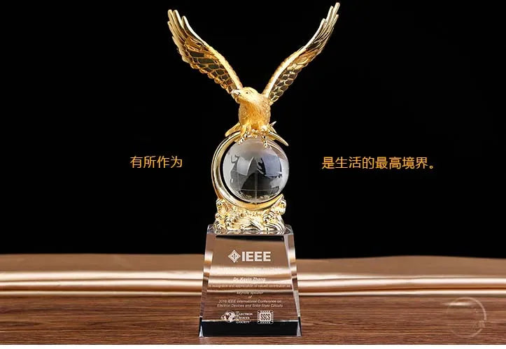 Customize Custom Business gift -25CM TOP COOL Home office efficacious Mascot Money Drawing Eagle vulture lanneret crystal statue