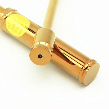 Geomantic master tool Asia efficacious Eight Diagrams copper FENG SHUI Compass magnetic divine dragon dowsing Rod + LUOPAN