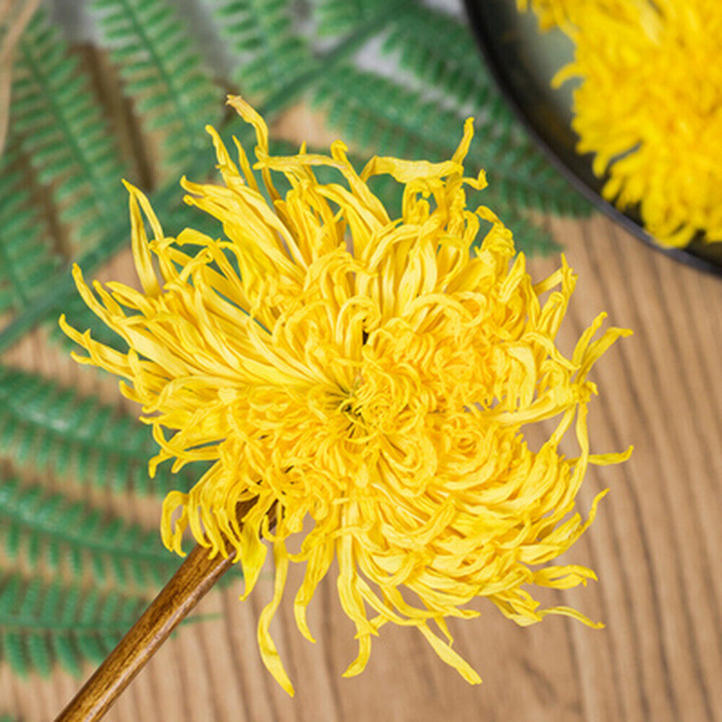 ,Giant Golden JU HUA Big Blooming tea100pc Emperor Chrysanthemum Flower Tea bag Buy Our Tea