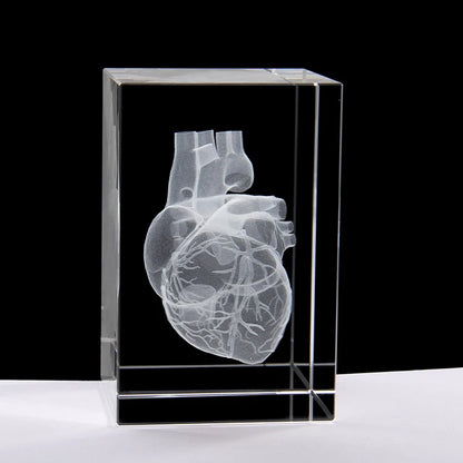 Good  gift - medicine Medical Science Internal medicine Doctor heart Figurine 3D Crystal ART statue -FREE SHIPPING cost