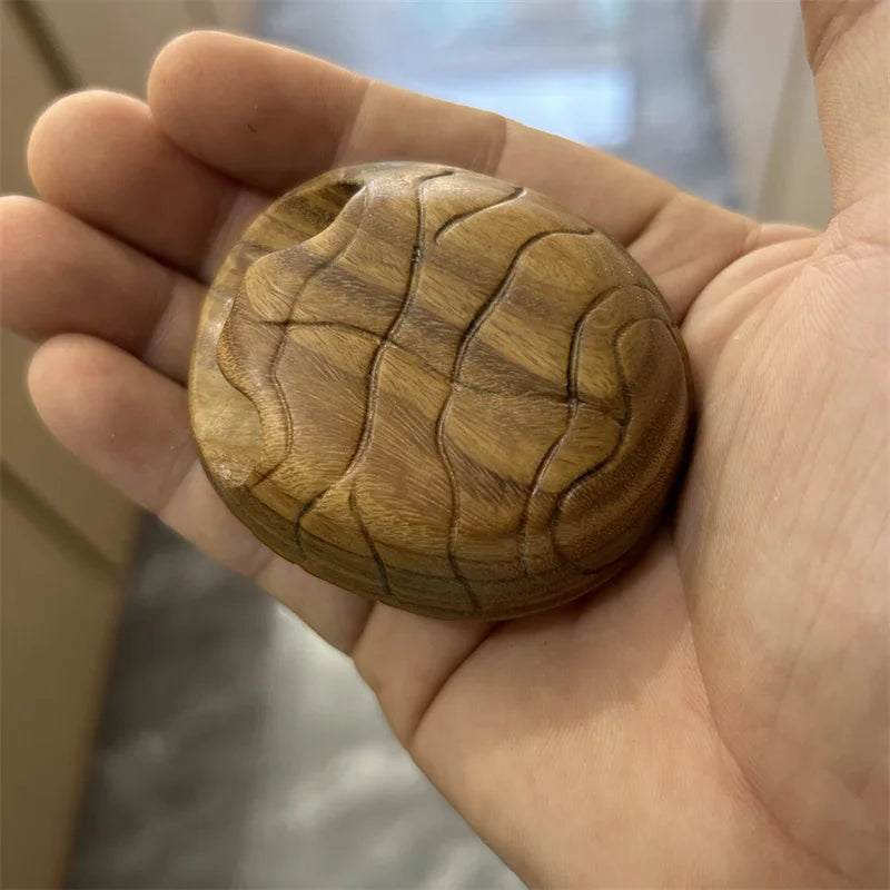 Green sandalwood carving copper money rich turtle shell decoration piece play hand  piece home decoration creative crafts