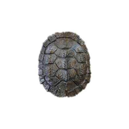 Guaiacum Wood 6CM Turtle Shell Sculpture Pterocarpus Tinctorius Wood Statue Carving Lucky Tortoise Pendant Home Decor
