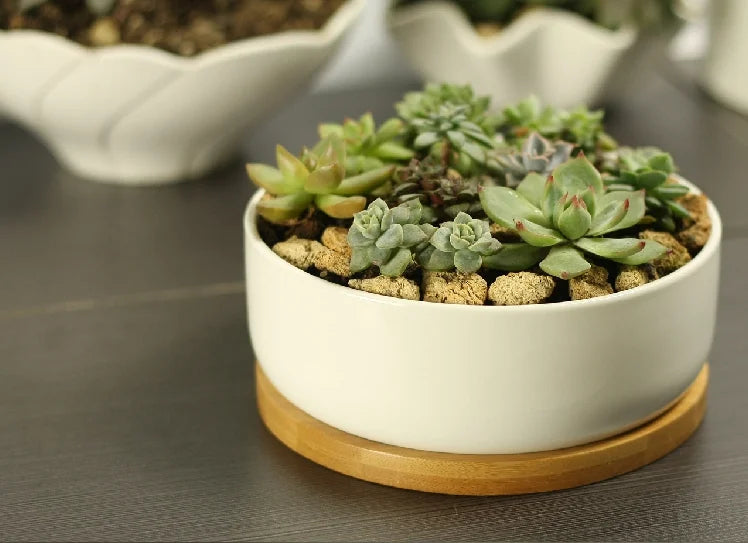 Ceramic Succulent Plant Pot, White Porcelain, Deep Rounded Flower Pot with Bamboo Tray, Office Desktop Table Bonsai Zakka