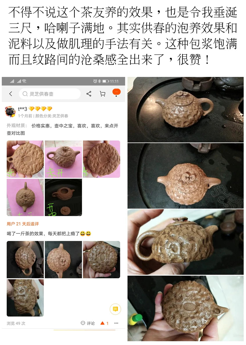 small thin foetus by hand the old section of the mud ganoderma lucidum for spring 105 ml sketch for a pot of spring