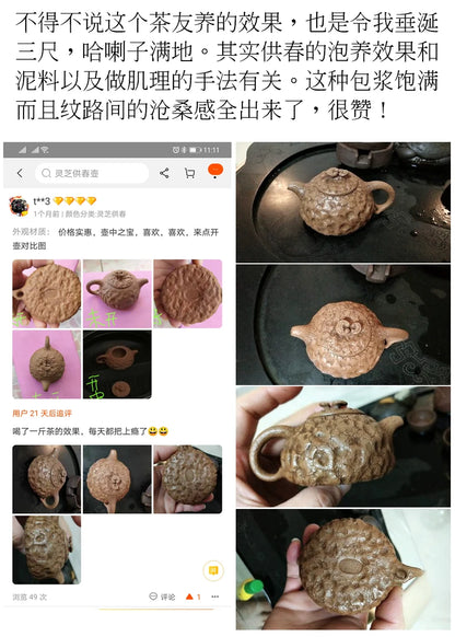 small thin foetus by hand the old section of the mud ganoderma lucidum for spring 105 ml sketch for a pot of spring