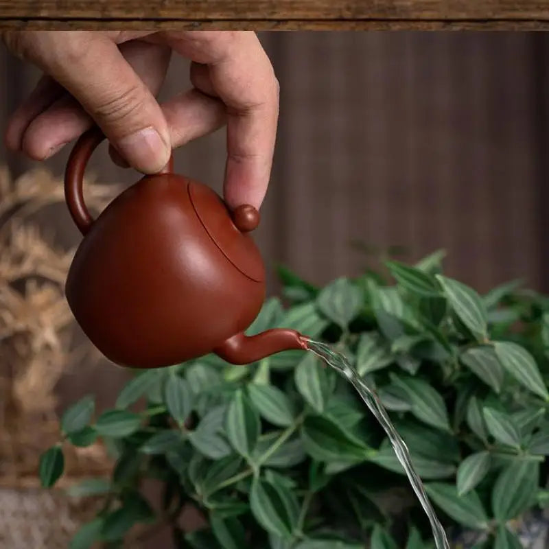 Handmade Dahongpao Mud Teapot with Beauty Shoulder, Purple Clay, Teaset Suit for Green and Dark Tea, Drinkware, about 100ml