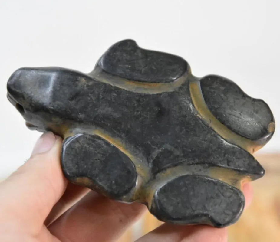 Hongshan culture archaize black iron meteorite longevity turtle statue