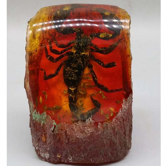 Imitation Amber beeswax scorpion specimen crafts statue