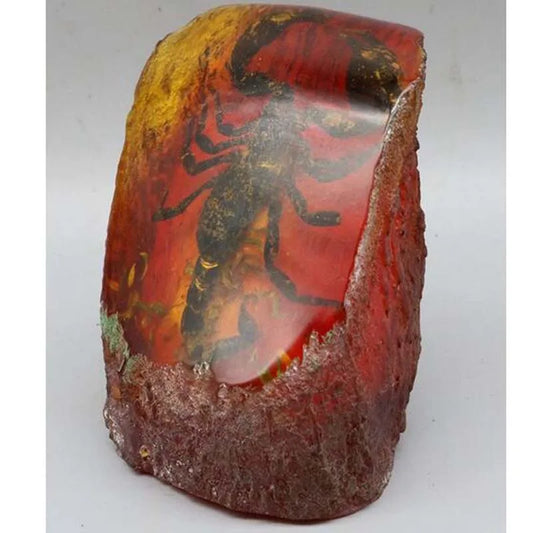 Imitation Amber beeswax scorpion specimen crafts statue