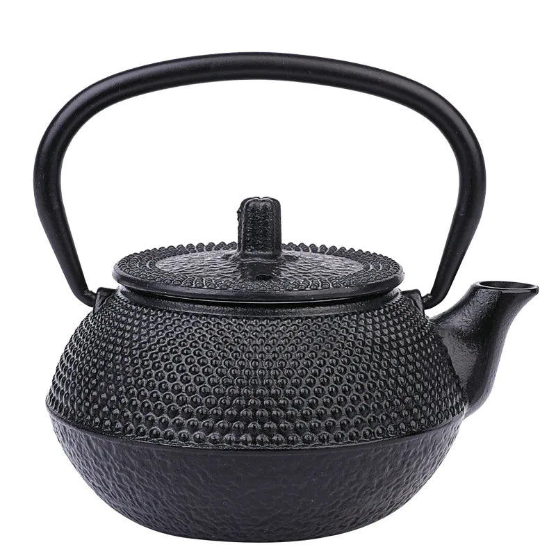 Japanese Cast Iron Tea Pot Induction Cooker Teapot with Stainless Steel Infuser tea Kettle Oolong tea Coffee Maker Pot