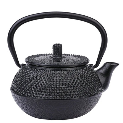 Japanese Cast Iron Tea Pot Induction Cooker Teapot with Stainless Steel Infuser tea Kettle Oolong tea Coffee Maker Pot