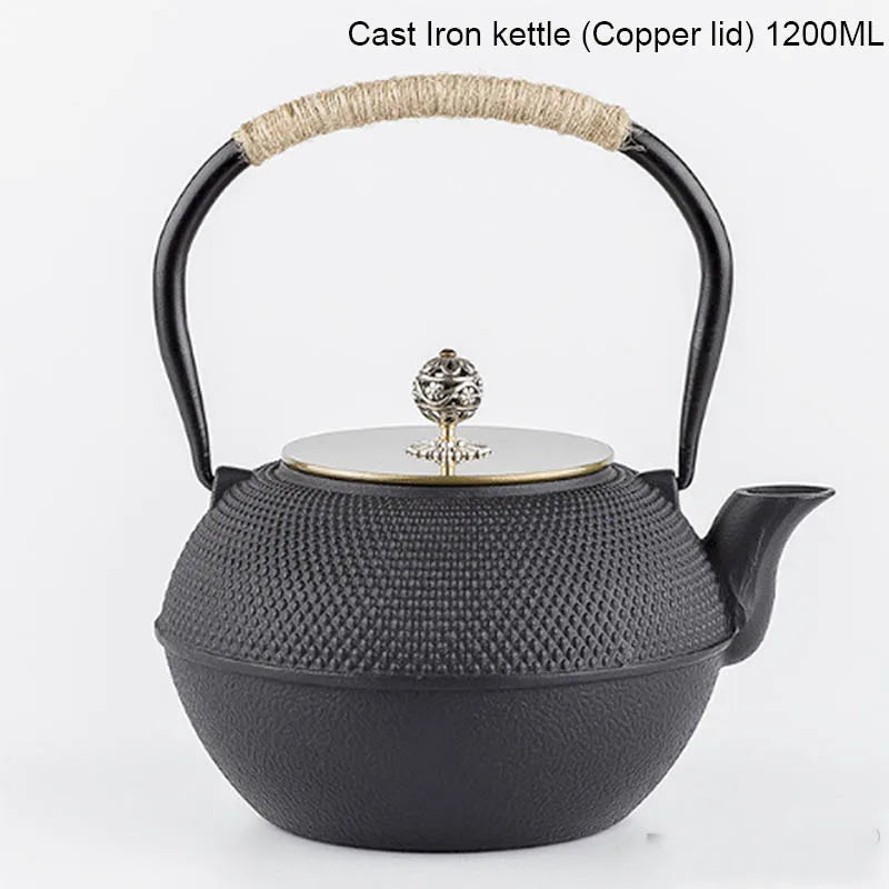 Japanese Cast Iron Teapot Handmade Tetsubin Gas Stovetop Water Kettle Black Teapot With Infuser Filter Kung Fu Tea Set