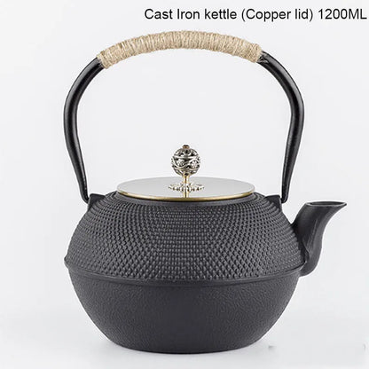 Japanese Cast Iron Teapot Handmade Tetsubin Gas Stovetop Water Kettle Black Teapot With Infuser Filter Kung Fu Tea Set