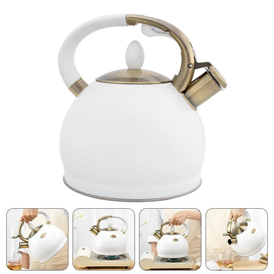 Kettle Teapot Tea Whistling Enamel Pot Whistle Steel Boiled Japanese Boiling Loud Stovetop Insulated Metal Water Stainless