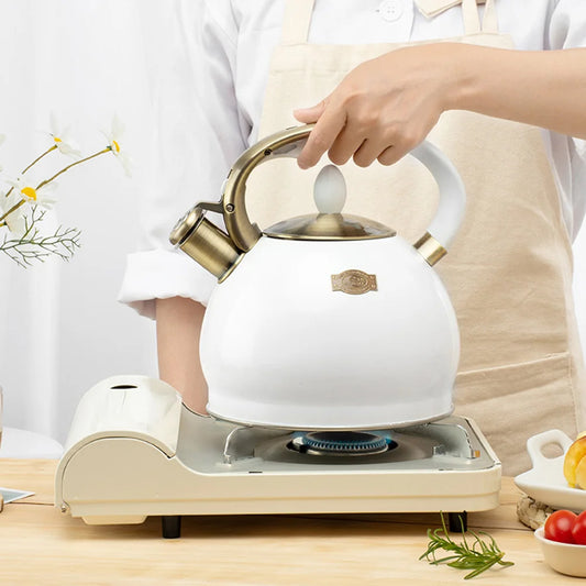 Kettle Teapot Tea Whistling Enamel Pot Whistle Steel Boiled Japanese Boiling Loud Stovetop Insulated Metal Water Stainless