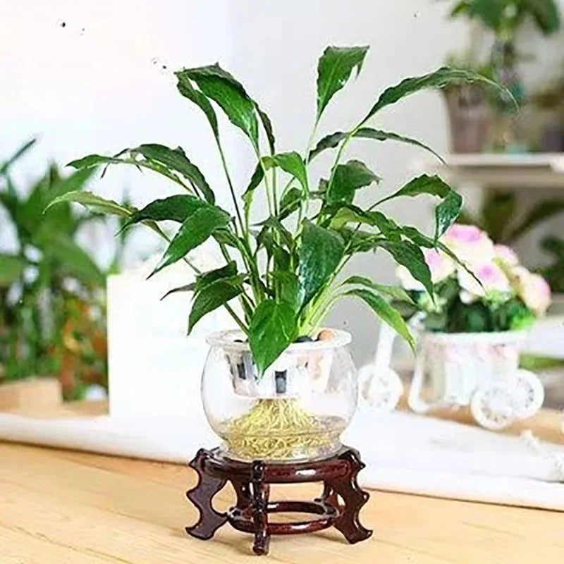 Natural Mahogany Round Three-dimensional Flowerpot Fish Tank Crystal Ball Photography Lens Display Stand Base Supply Home Decor