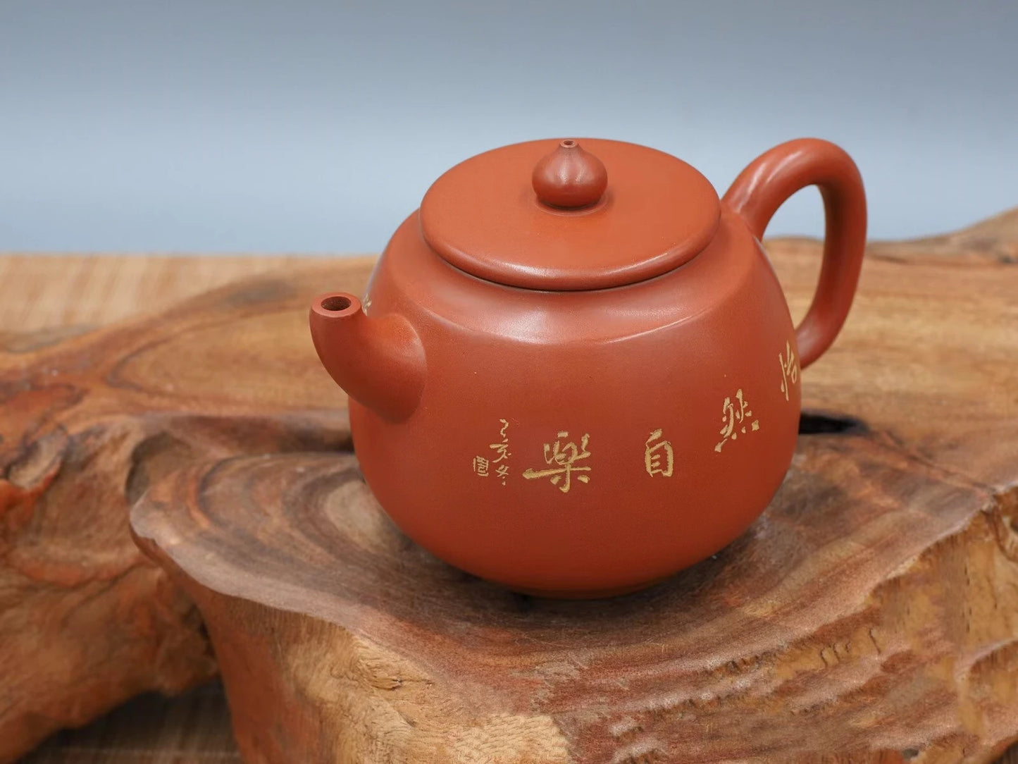 Nixing Handmade Teapot Master Tang Tianyuan Carving  filter handmade nixing clay customized gifts authentic theiere