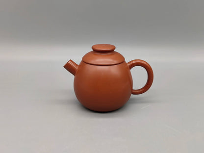 Nixing Handmade Teapot Master Tang Tianyuan Gun Mouth filter handmade nixing clay customized gifts authentic theiere