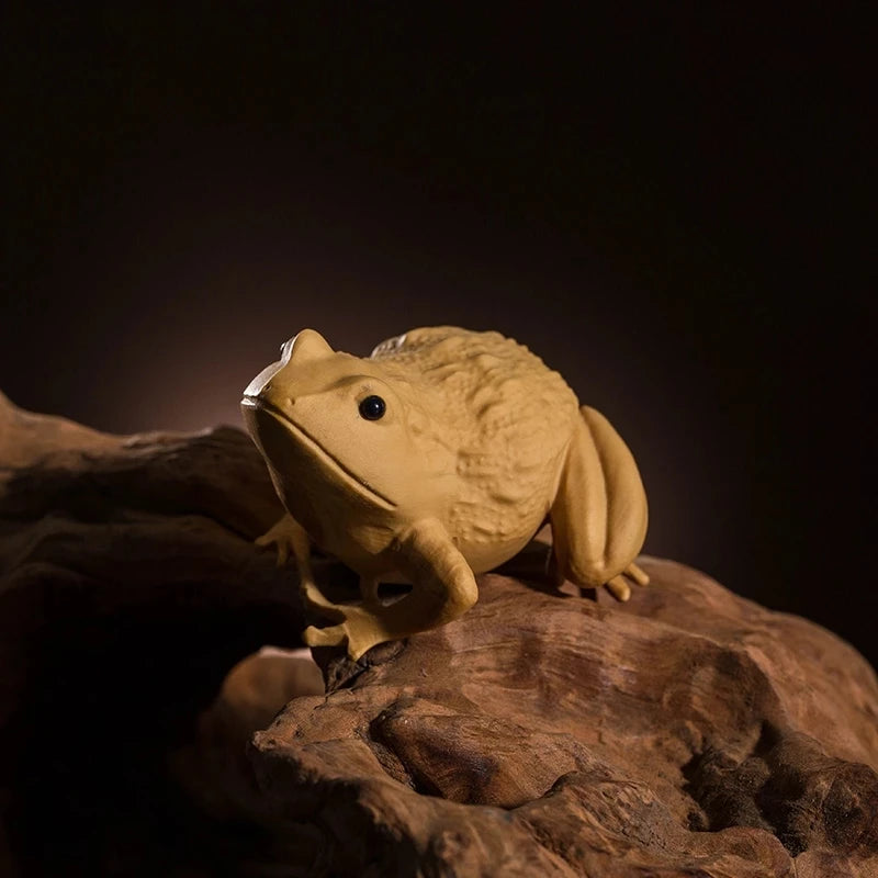 Pet Tea Frog Accessories, Special Sitting Gifts, Boxwood Carved Crafts, Crafts