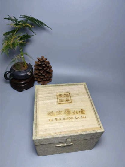 Pure Master Handmade Chaozhou Zhu Ni Teapot For Dancong Tea Pot(Not Yixing Zisha) Kung Fu Tea Set Drinkware Tea Ceremony