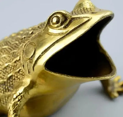Pure copper frog frog, Golden Toad