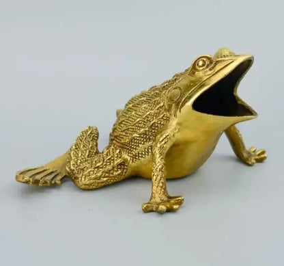 Pure copper frog frog, Golden Toad