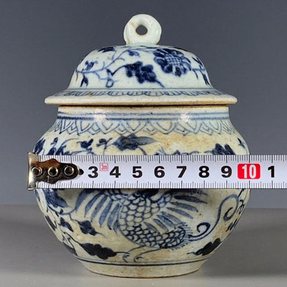 Old Chinese Blue and white Porcelain qing Dynasty hand painted Jar pot