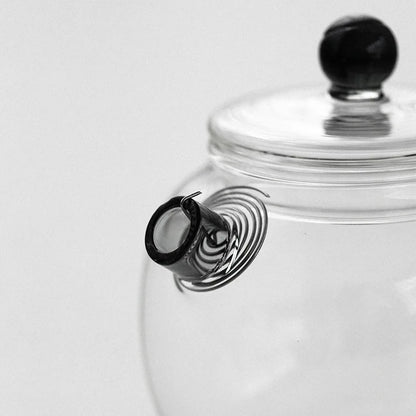 Simple and Transparent Glass Flower Teapot with Filtering Tea Pot Household Small Capacity Kung Fu Teapot Side Handle Kettle