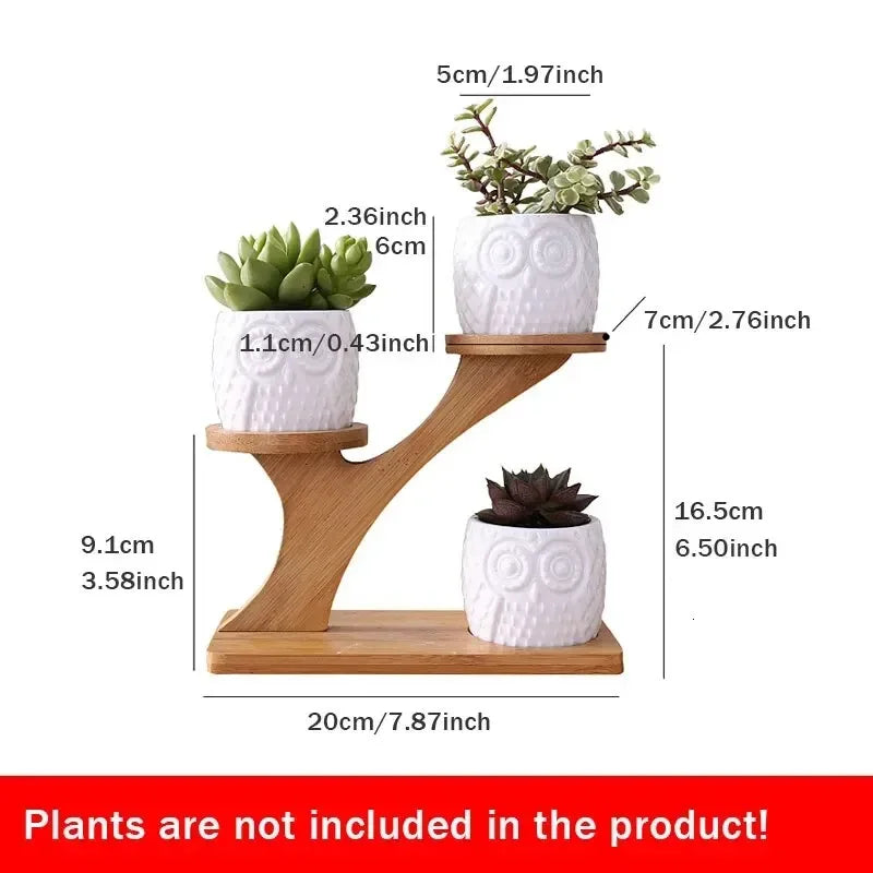 Succulents Ceramic Potted Desktop Can Rotate Ferris Wheel Flower Pot Creative Decoration Office Flower Container lettre en bois